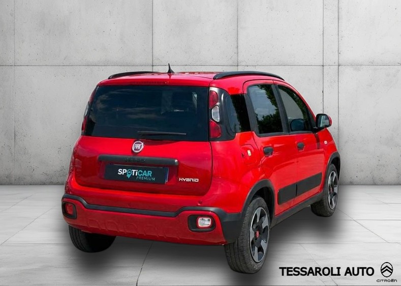 Anteprima 5